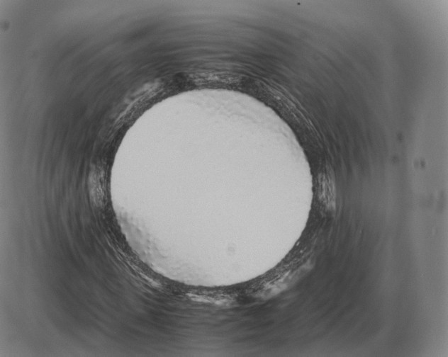 X0000085070915200704021407