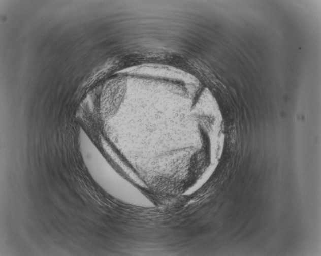 X0000085070916200704021407