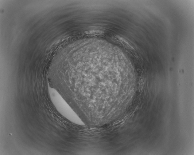 X0000085070917200704021407