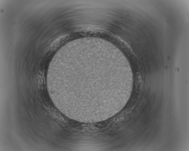 X0000085070918200704021407