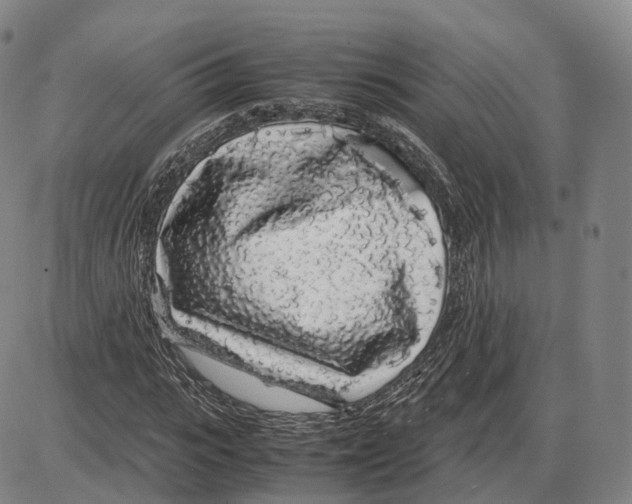 X0000085070919200704021407