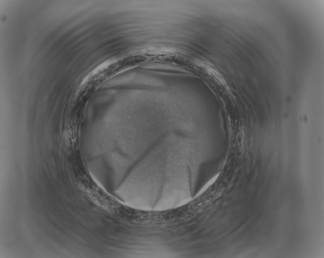 X0000085070920200704021407