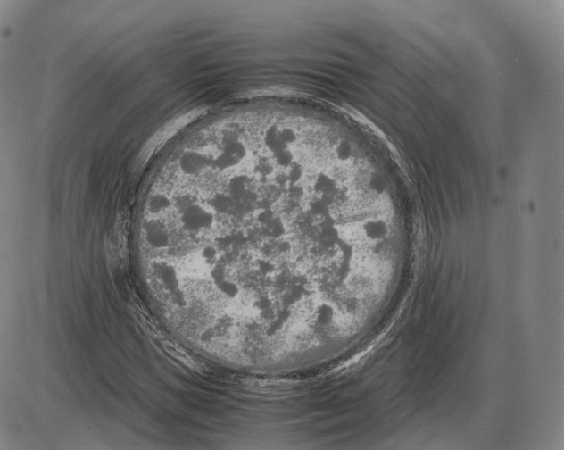 X0000085070921200704021407