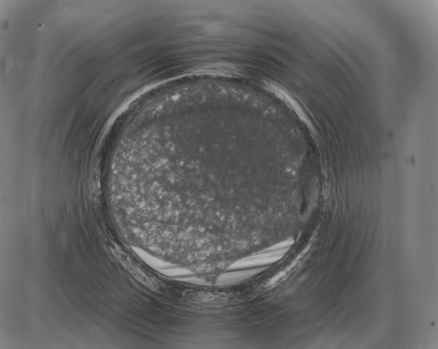 X0000085070923200704021407