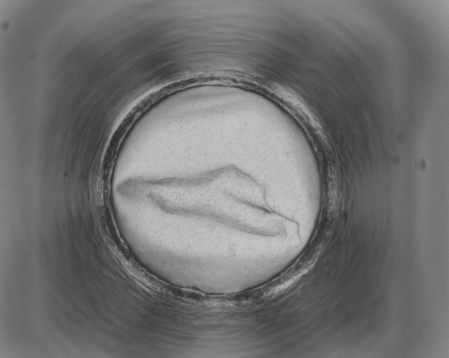 X0000085070924200704021407