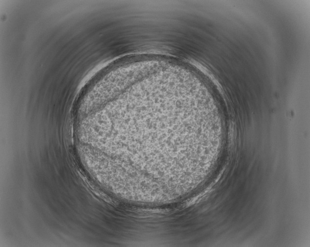 X0000085070925200704021407