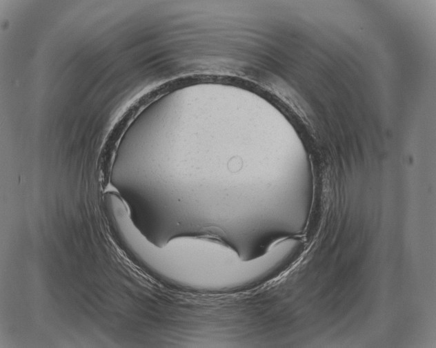 X0000085070926200704021407