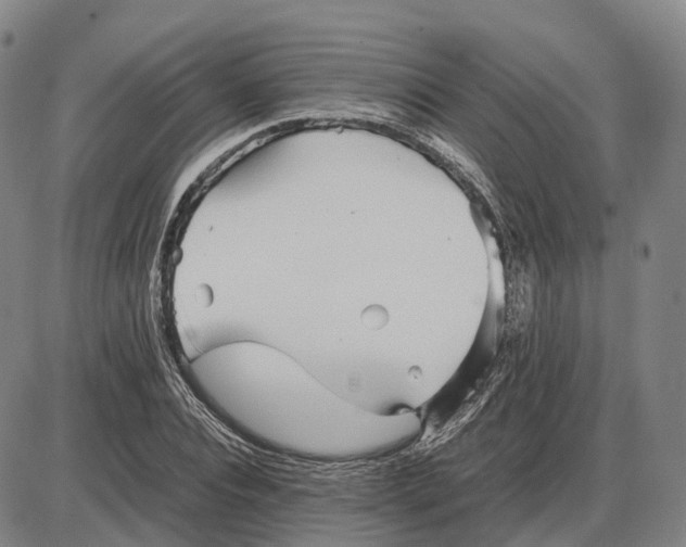 X0000085070928200704021407