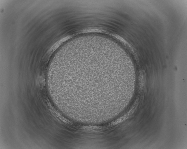 X0000085070929200704021407