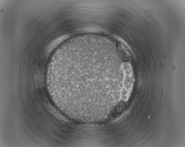 X0000085070930200704021407