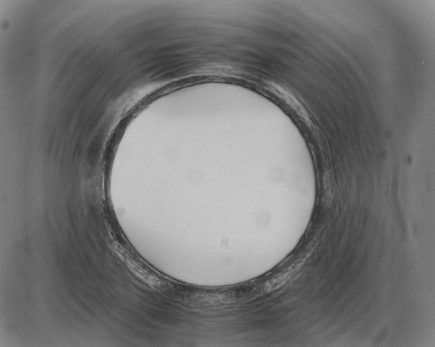 X0000085070931200704021407