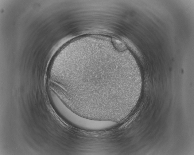 X0000085070932200704021407