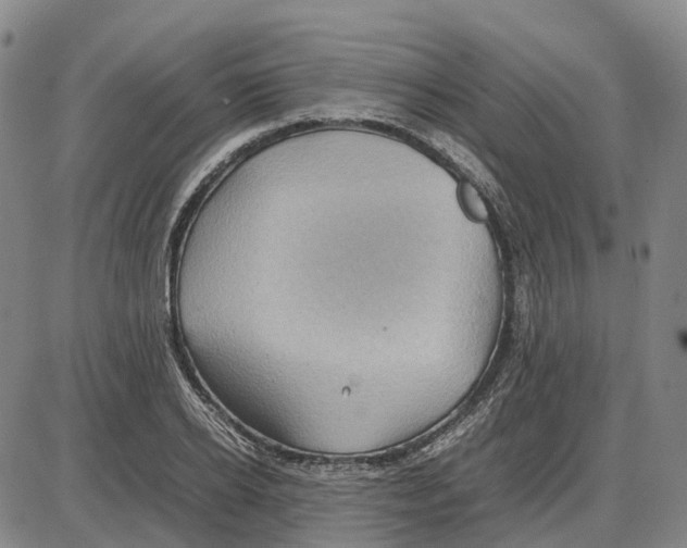 X0000085070934200704021407