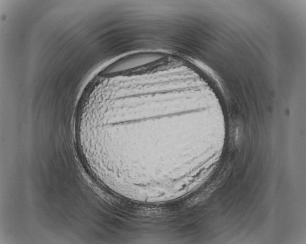 X0000085070935200704021407