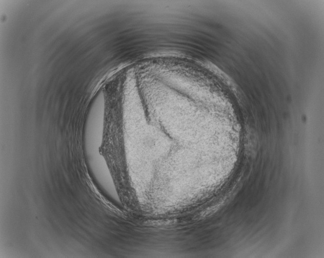 X0000085070937200704021407