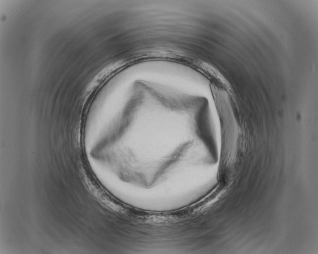 X0000085070938200704021407