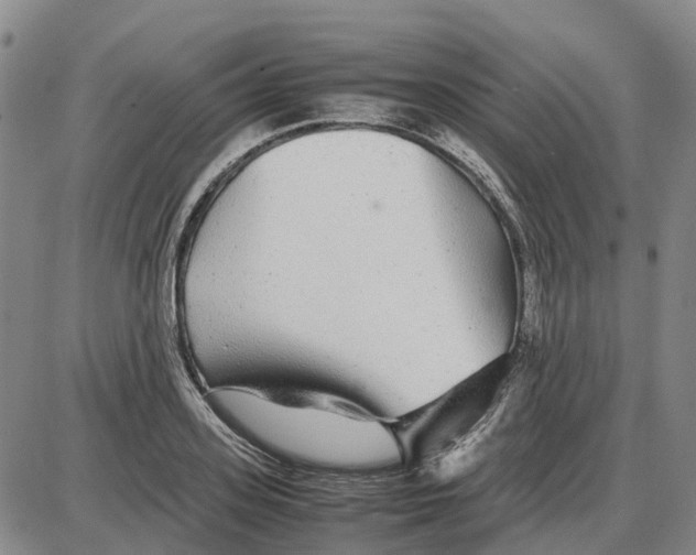 X0000085070939200704021407