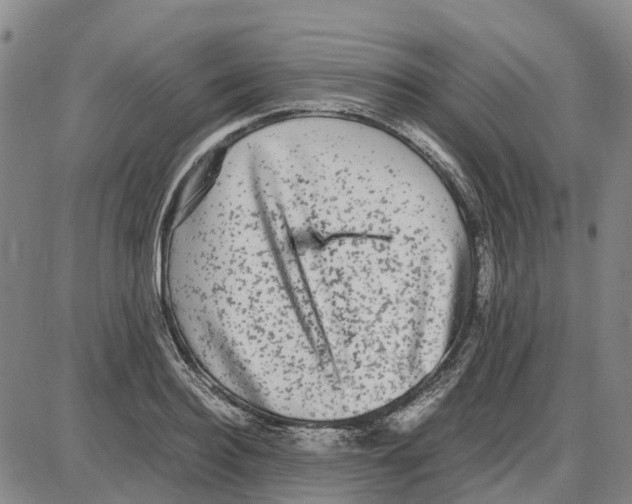 X0000085070940200704021407