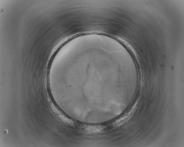 X0000085070941200704021407