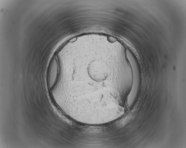 X0000085070942200704021407