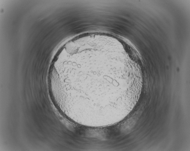 X0000085070943200704021407