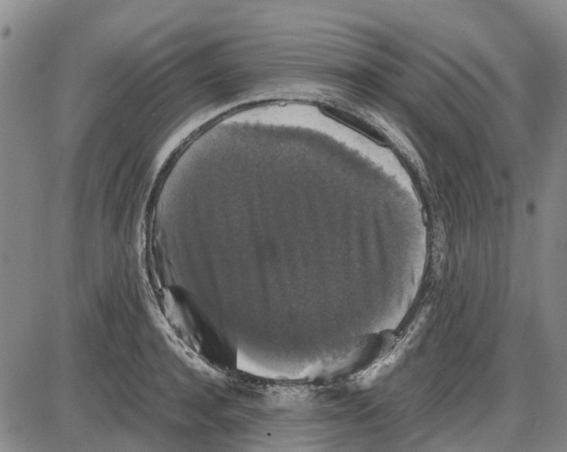 X0000085070944200704021407