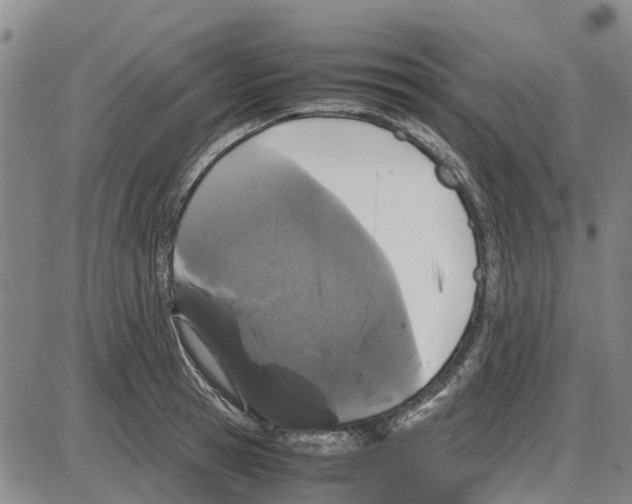 X0000085070945200704021407