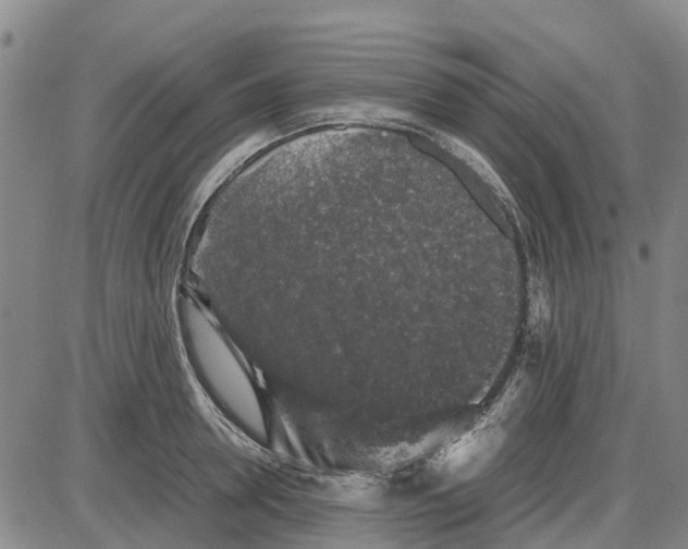 X0000085070946200704021407