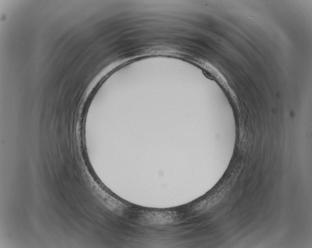 X0000085070947200704021407