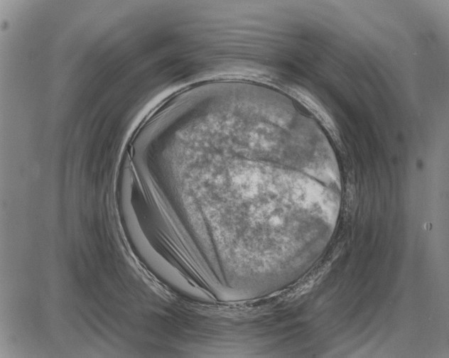 X0000085070948200704021407