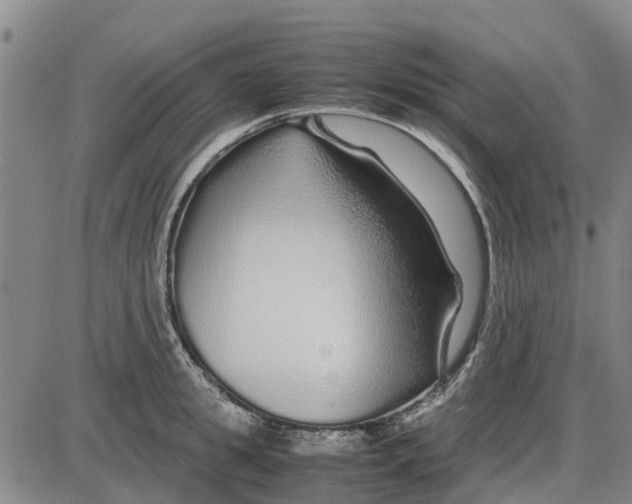 X0000085070949200704021407