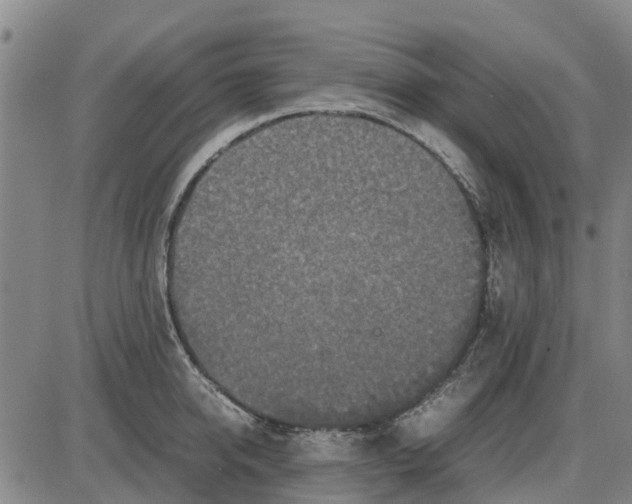 X0000085070950200704021407