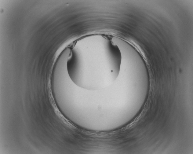 X0000085070952200704021407