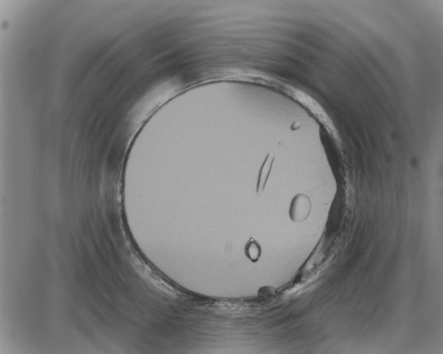 X0000085070954200704021407