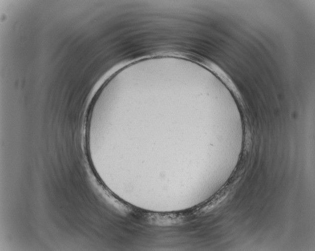 X0000085070955200704021407