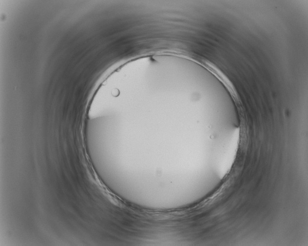 X0000085070956200704021407