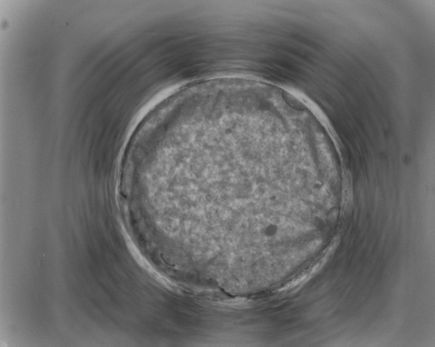 X0000085070957200704021407