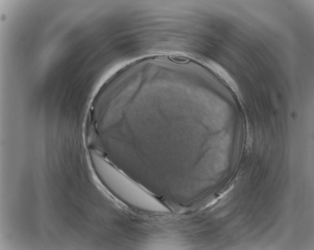 X0000085070958200704021407