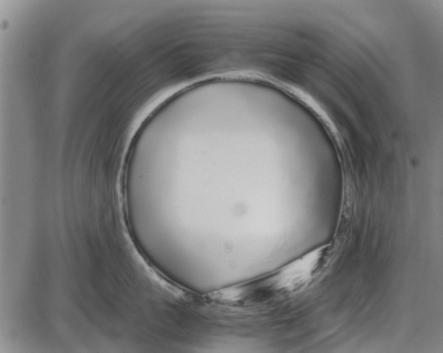 X0000085070959200704021407