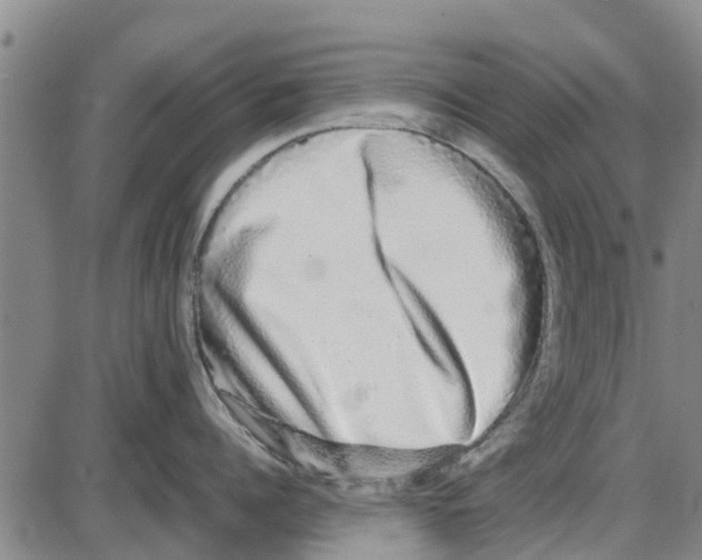 X0000085070960200704021407