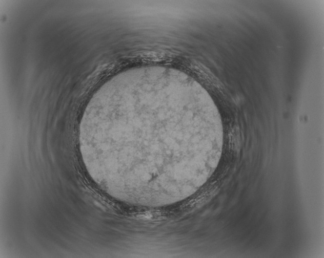 X0000085070961200704021407