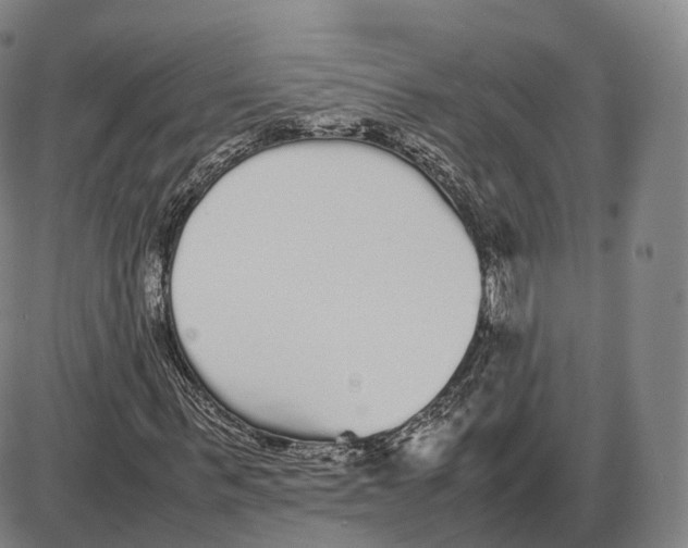 X0000085070963200704021407