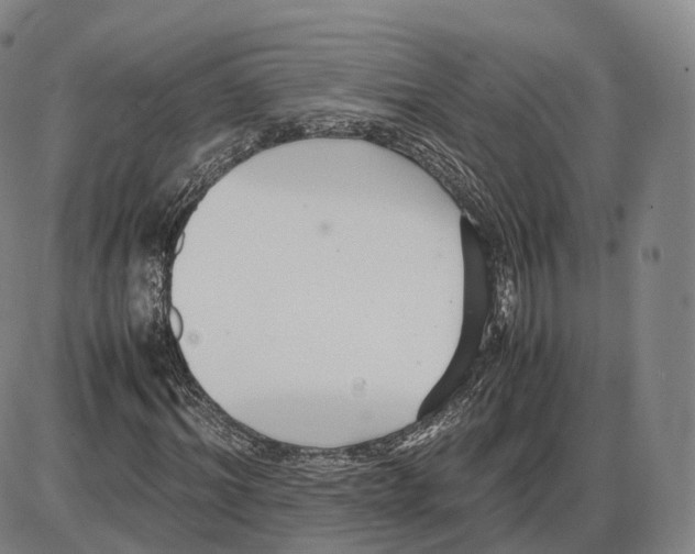 X0000085070964200704021407