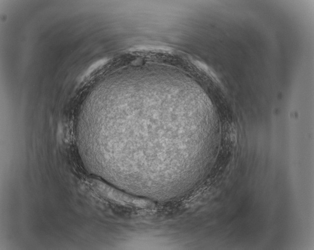 X0000085070965200704021407