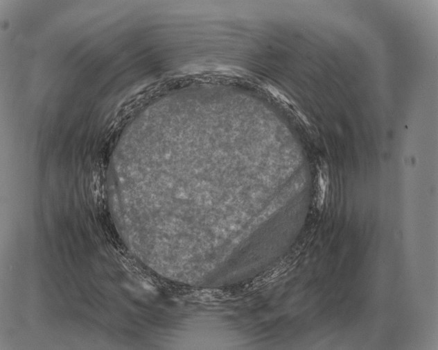 X0000085070966200704021407