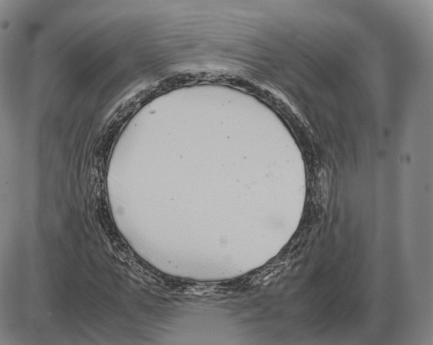 X0000085070967200704021407