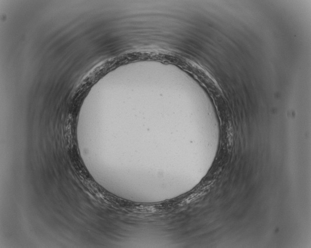 X0000085070968200704021407