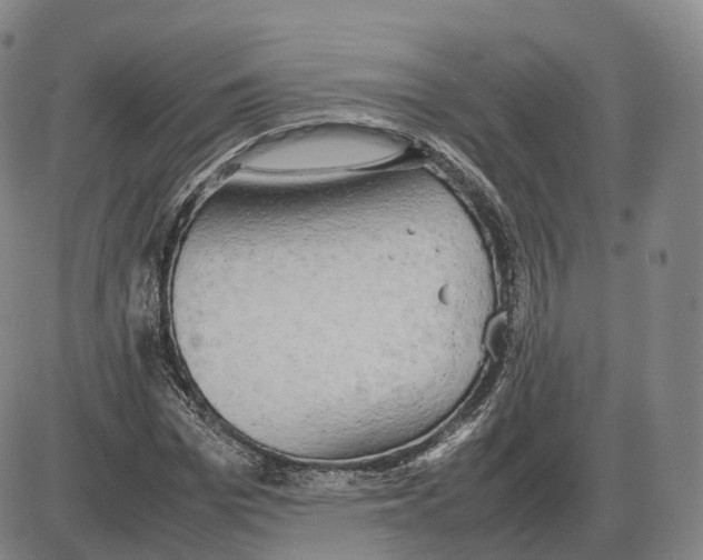 X0000085070969200704021407