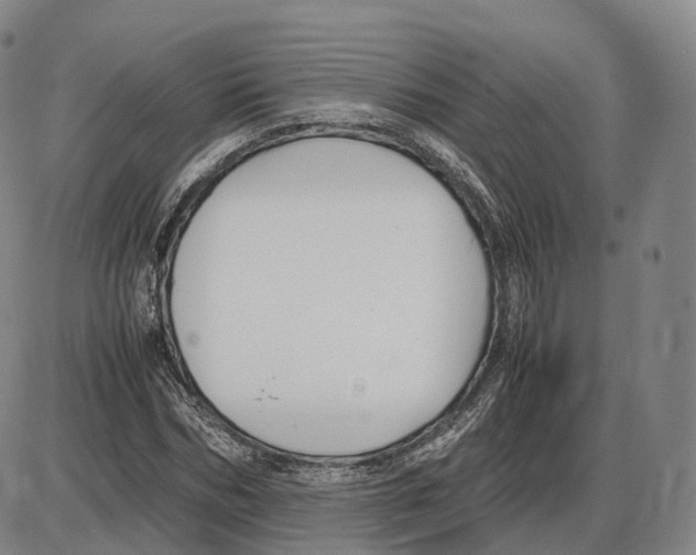 X0000085070970200704021407