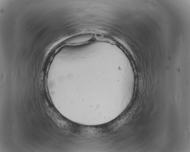 X0000085070971200704021407